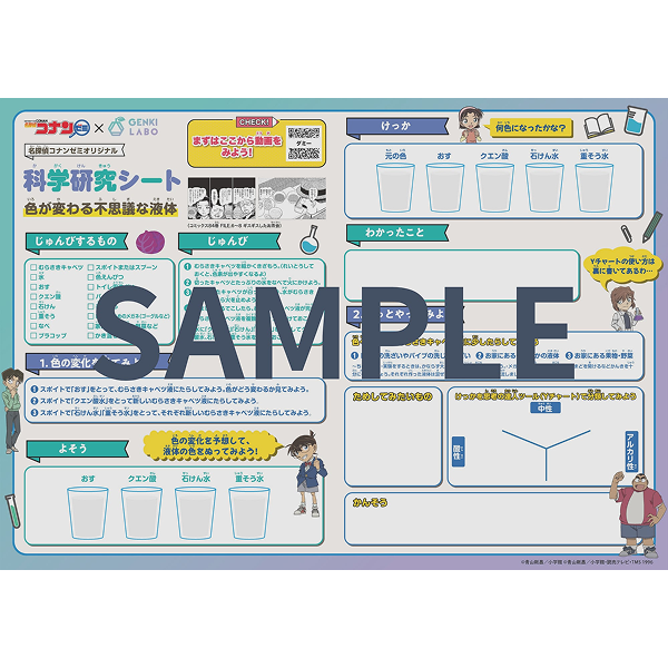 名探偵コナンゼミオリジナル 科学研究シート *
