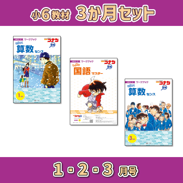 小6教材【3か月セット冬 1・2・3月号】 *